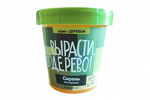 Набор для выращивания растений - Сирень венгерская (Зеленый Капитал, zk-053)